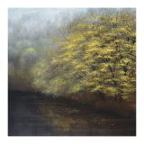 Misty River