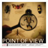 Literary Devices: Point of View