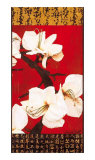 Asian Amaryllis II