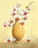 Un Vase Blanc