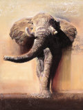 King of Savannah