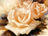 Pink Roses