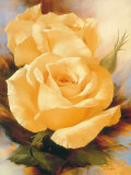 Yellow Roses