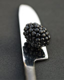 Blackberry and Knife