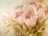 Pink Tulips