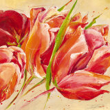 Les Tulipes Sauvages