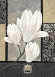 White Magnolia