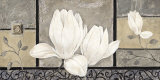 Baroque Magnolia