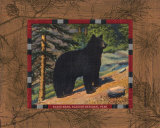 Black Bear I
