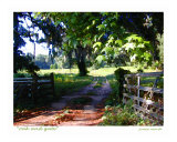 Oak And Gate  Tallahassee  Florida
