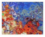 Coral Reef