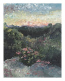 Arkansas Mountain Sunset