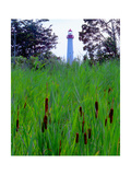 Cape May Point Lighthouse  New Jersey