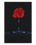 Weeping Rose