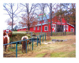 Big Cedar Lodge Horse Barn