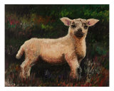 Precious Lamb