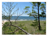 Lake Michigan Dunes
