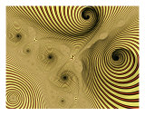 Shell Dunes