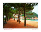 Seaside Bench  Costa Brava  Spain
