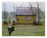 Carolina Patriot