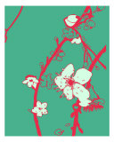 Pink N Aqua Cherry Blossom