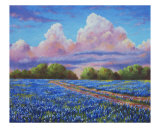 Rain For The Bluebonnets