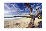 Carmel Beach  California