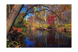 Lamington River At Tewksbury  New Jersey