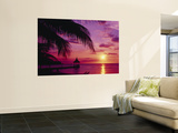 Sunset  Palm Trees  Beach  Water  Ocean  Montego Bay Jamaica