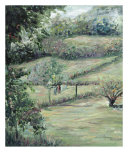 Washday In Provence