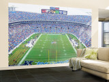NFL Football  Ericsson Stadium  Charlotte  North Carolina  USA