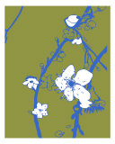 Green Cherry Blossom