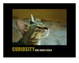 Inspirational-Motivational: Curiosity