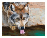 Watchful Drink