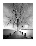 Ruhe - Silence