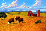 Colorado Farm In Late Summer