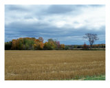Maine Farm Country 16