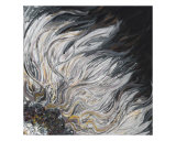 Textured White Sunflower