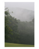 Fog In The Foothills