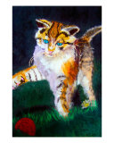 010209 Play Ball With A Louisiana Cat