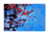 Spring Blossom