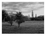 Chicago From Skinner Park