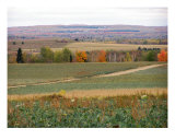 Maine Farm Country 14