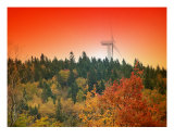 Maine Sunset Collection 1