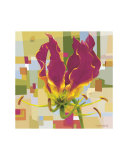Gloriosa