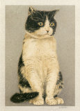 Agatha