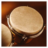 Bongo