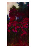 View from the Garden III