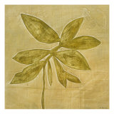 Leaf Fresco III