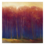 Deep Woods in Autumn